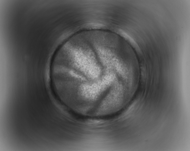 X0000092040582200709261952