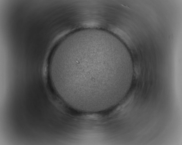 X0000092040583200709261952