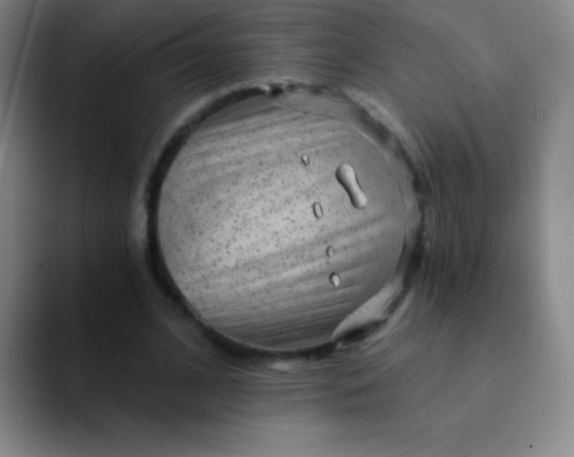 X0000092040584200709261952