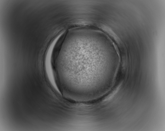 X0000092040585200709261952