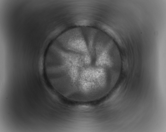 X0000092040586200709261952