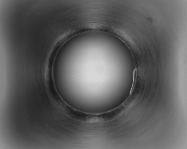 X0000092040587200709261952