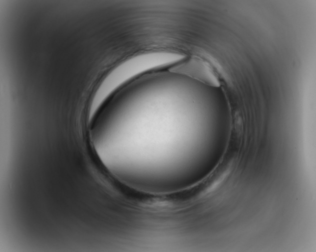 X0000092040589200709261952