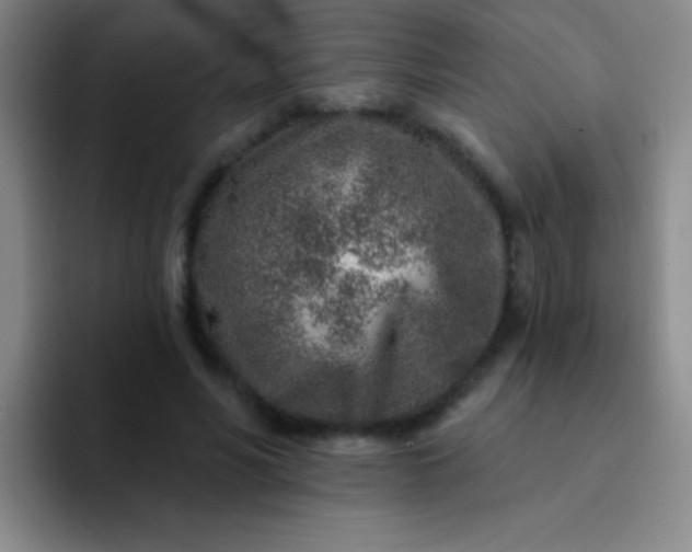 X0000092040590200709261952