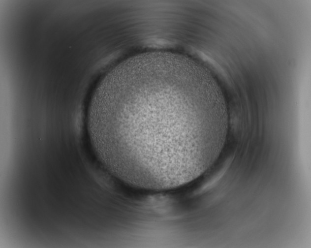 X0000092040591200709261952