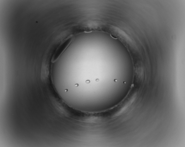 X0000092040593200709261952