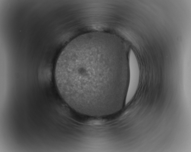 X0000092040595200709261952