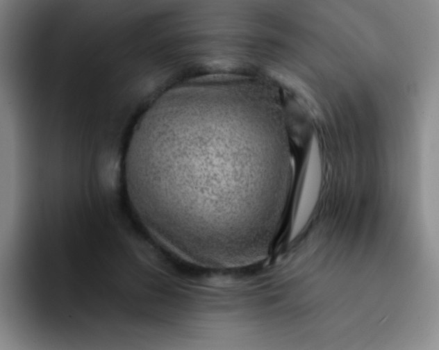 X0000092040596200709261952