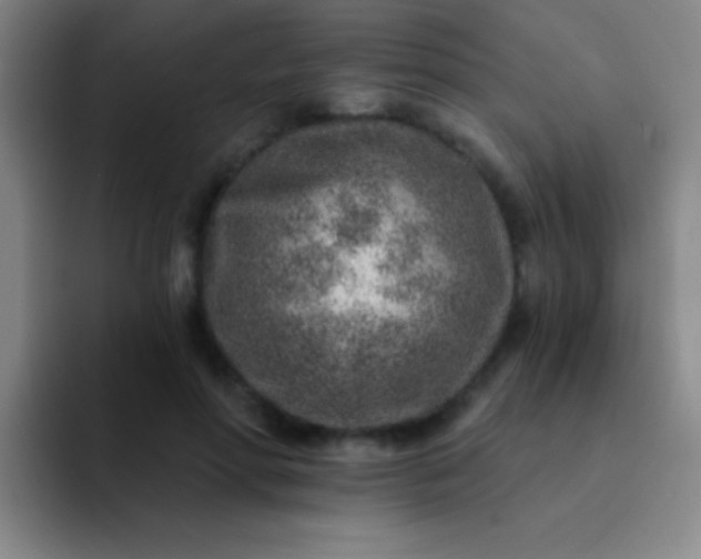 X0000092040598200709261952