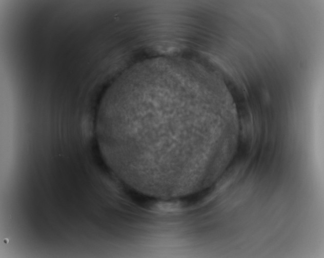 X0000092040606200709261952