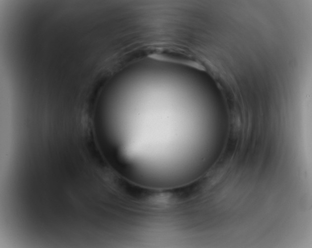 X0000092040609200709261951