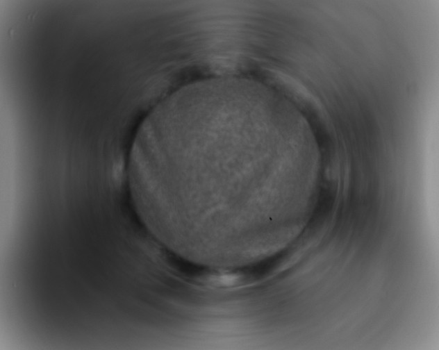 X0000092040610200709261951