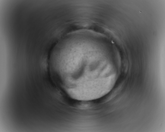 X0000092040612200709261951