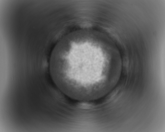 X0000092040614200709261951