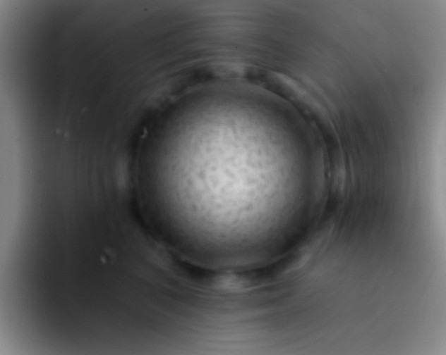 X0000092040616200709261951