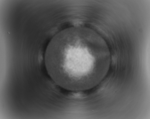 X0000092040618200709261951