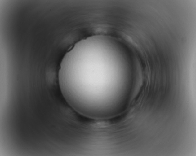 X0000092040619200709261951