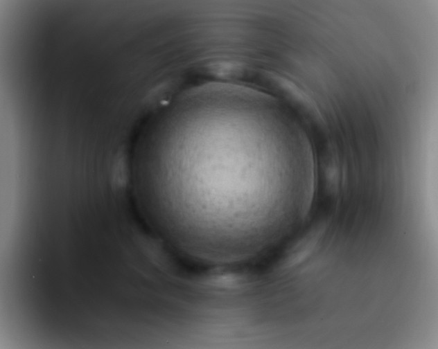 X0000092040620200709261951