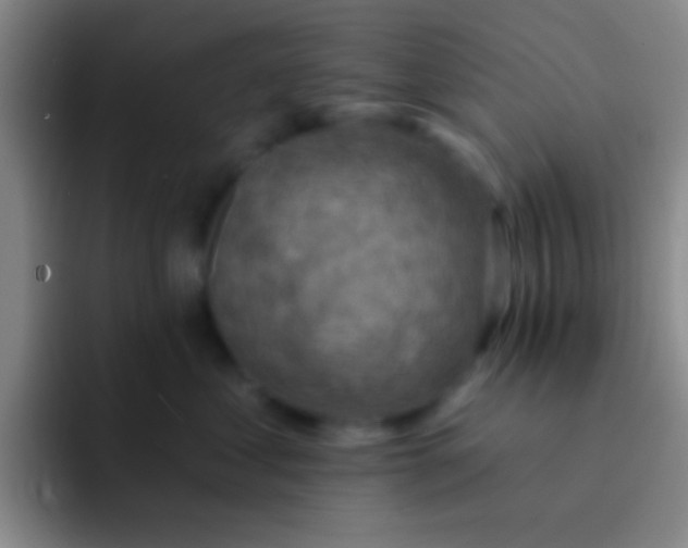 X0000092040621200709261951