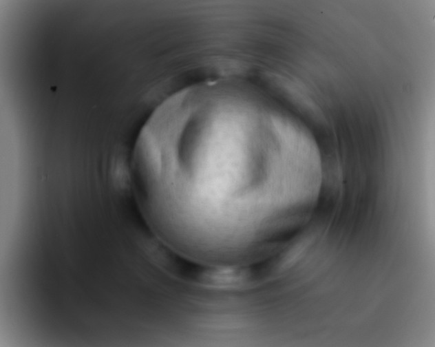 X0000092040622200709261951