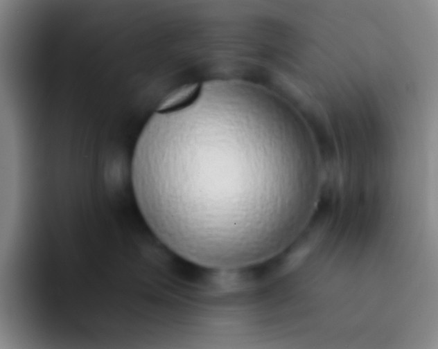 X0000092040623200709261951