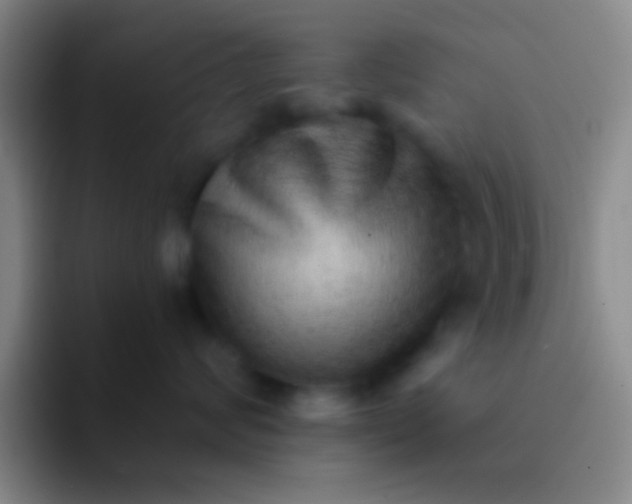 X0000092040624200709261951