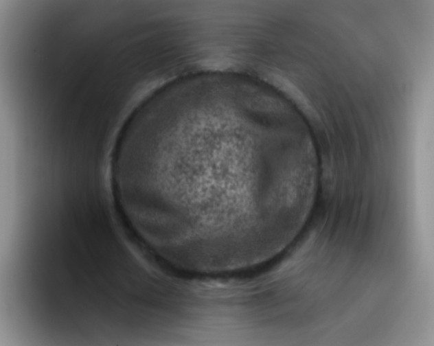 X0000092040626200709261951