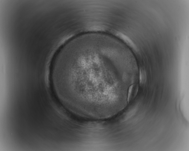 X0000092040627200709261951