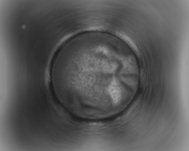 X0000092040628200709261951