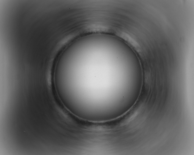 X0000092040629200709261951