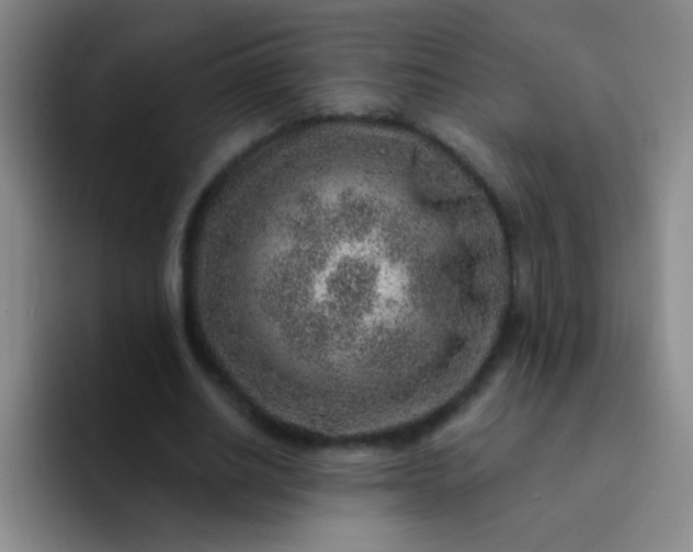 X0000092040630200709261951