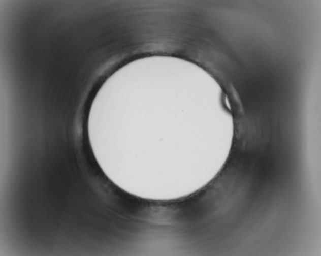 X0000092040632200709261951