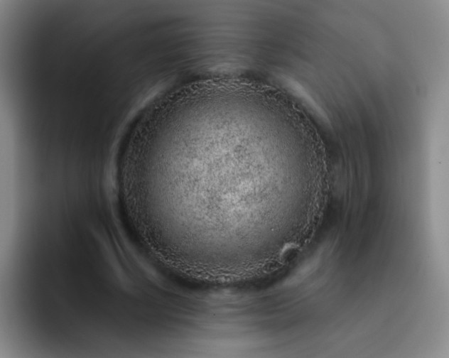 X0000092040634200709261951