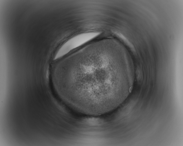 X0000092040637200709261951