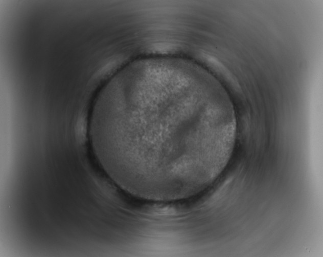 X0000092040640200709261951