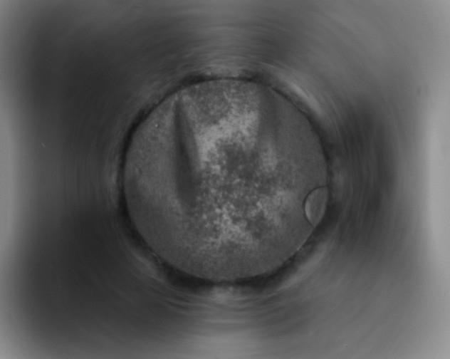 X0000092040641200709261951