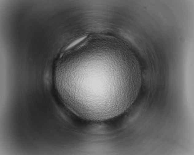 X0000092040642200709261951