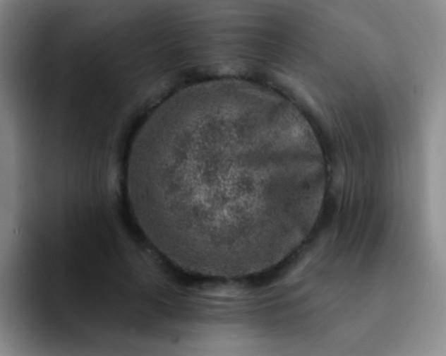 X0000092040643200709261951