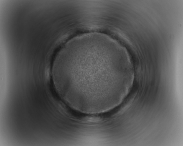 X0000092040644200709261951