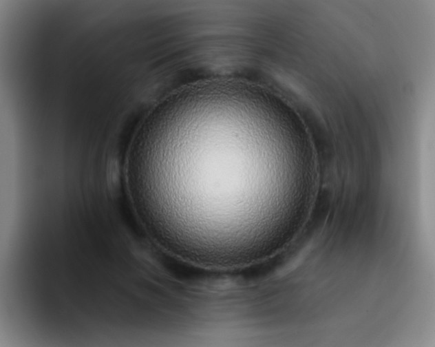 X0000092040646200709261951