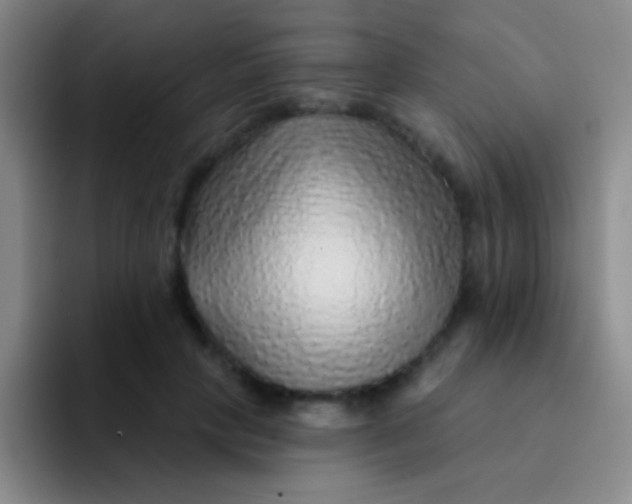 X0000092040649200709261951