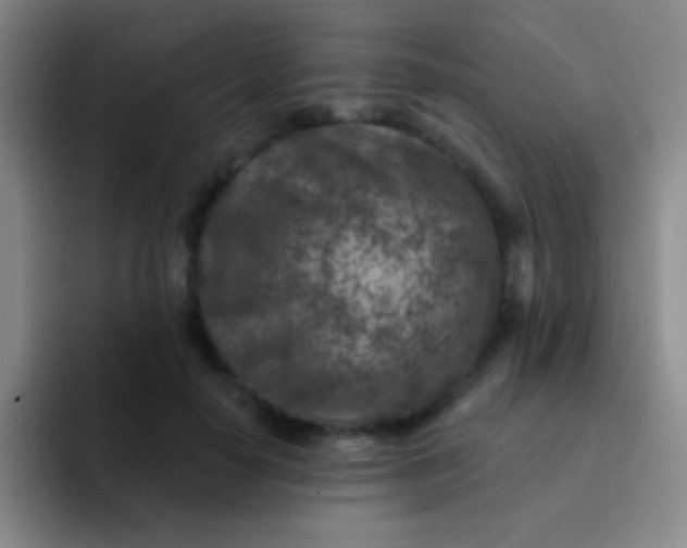 X0000092040650200709261951