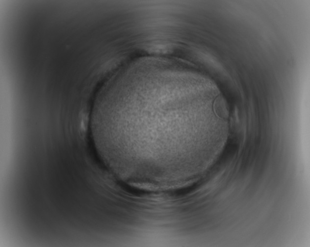 X0000092040652200709261951