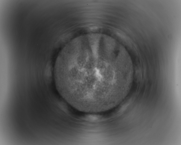 X0000092040654200709261951