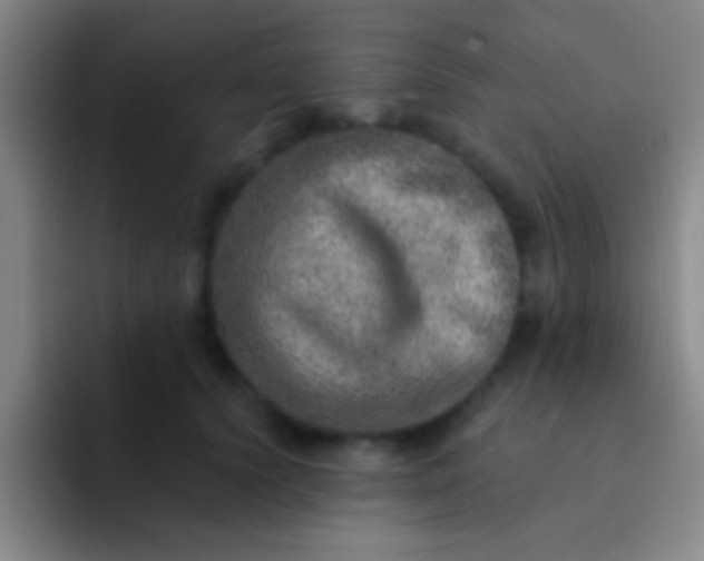 X0000092040656200709261951