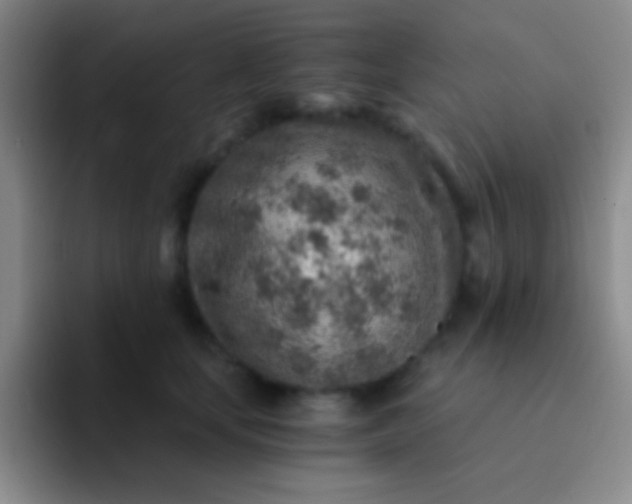 X0000092040659200709261951