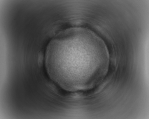 X0000092040660200709261951