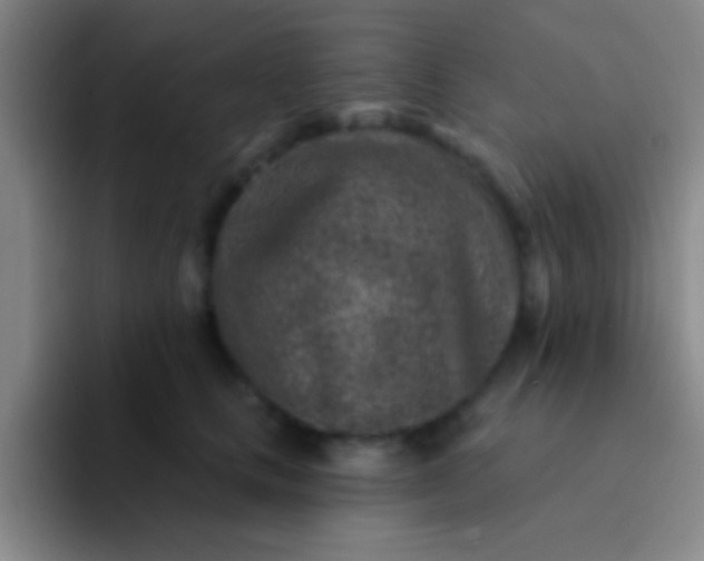 X0000092040661200709261951