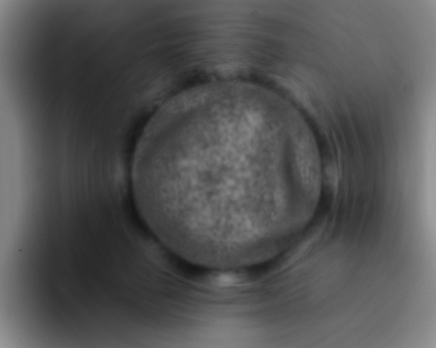 X0000092040662200709261951