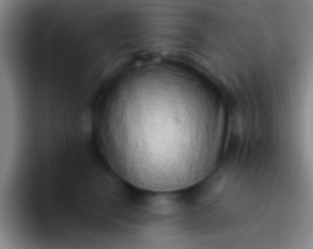 X0000092040664200709261951